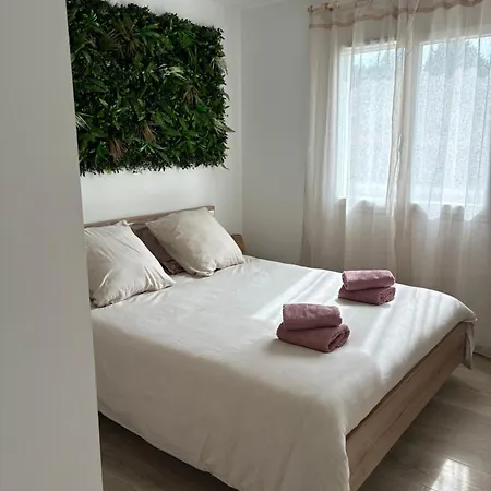 Maison Cossy Bassin D Arcachon *
